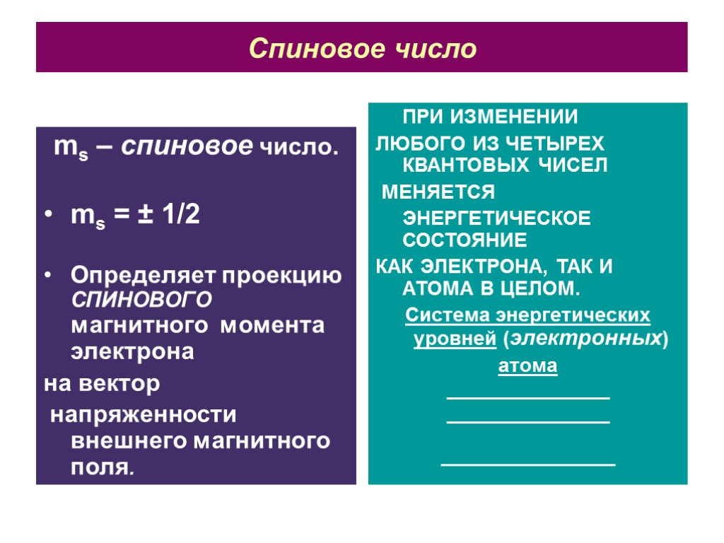 Спиновое число ms – спиновое число. ms = ± 1/2 Определяет проекцию СПИНОВОГО магнитного